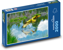 Morský orol Puzzle 2000 dielikov - 90 x 60 cm