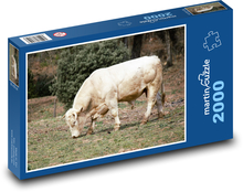 Krowa - inwentarz żywy Puzzle 2000 elementów - 90x60 cm