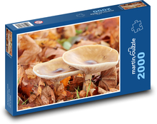 Pilze - Fliegenpilz Puzzle 2000 Teile - 90 x 60 cm