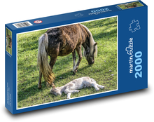 Kobyla - žriebä Puzzle 2000 dielikov - 90 x 60 cm