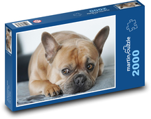 Francouzský buldoček - pes Puzzle 2000 dílků - 90 x 60 cm