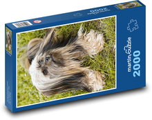 Pes - mazlíček Puzzle 2000 dílků - 90 x 60 cm