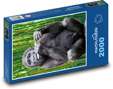 Gorilla - Affe Puzzle 2000 Teile - 90 x 60 cm
