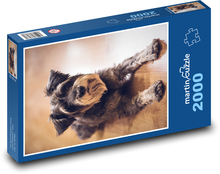 Schnauzerhund Puzzle 2000 Teile - 90 x 60 cm