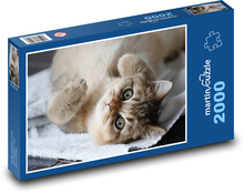 Mačka - domáce zviera Puzzle 2000 dielikov - 90 x 60 cm