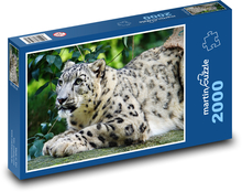 Leopard Puzzle 2000 dielikov - 90 x 60 cm