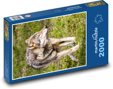 Vlk - cicavec Puzzle 2000 dielikov - 90 x 60 cm