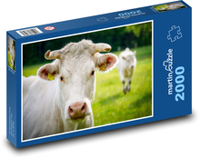 White cow Puzzle 2000 pieces - 90 x 60 cm