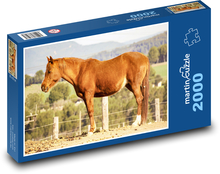 Kůň Puzzle 2000 dílků - 90 x 60 cm