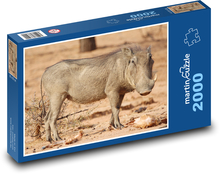 Warzenschwein vom Schwein Puzzle 2000 Teile - 90 x 60 cm