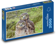 Sovy - les Puzzle 2000 dielikov - 90 x 60 cm