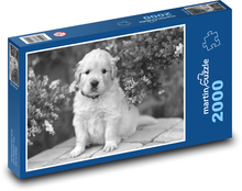 Dog - Puppy Puzzle 2000 pieces - 90 x 60 cm