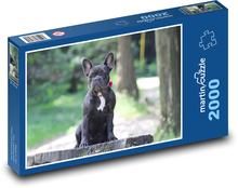 French Bulldog  Puzzle 2000 pieces - 90 x 60 cm