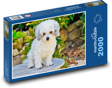 Bologneser Hund Puzzle 2000 Teile - 90 x 60 cm