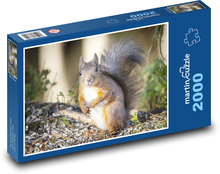 Eichhörnchen - Nagetier Puzzle 2000 Teile - 90 x 60 cm