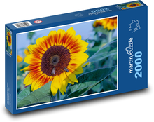 Słoneczniki - pszczoły Puzzle 2000 elementów - 90x60 cm