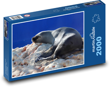 Morské plody - lachtan Puzzle 2000 dielikov - 90 x 60 cm