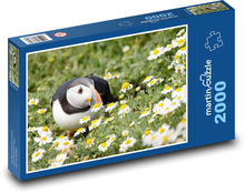 Vták - Puffin Puzzle 2000 dielikov - 90 x 60 cm