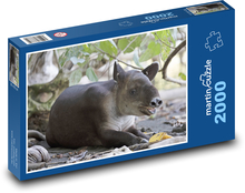 Tapir - wildlife Puzzle 2000 pieces - 90 x 60 cm