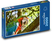 Vták - papagáj Puzzle 2000 dielikov - 90 x 60 cm