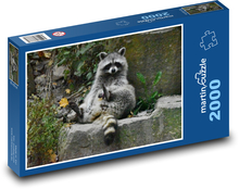 Raccoon  Puzzle 2000 pieces - 90 x 60 cm