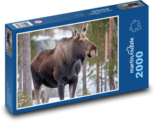 Los - divoká zvěř Puzzle 2000 dílků - 90 x 60 cm