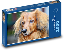 Hund - Dackel Puzzle 2000 Teile - 90 x 60 cm