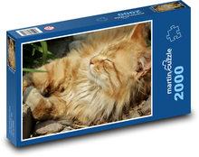 Kot - zwierzę domowe Puzzle 2000 elementów - 90x60 cm
