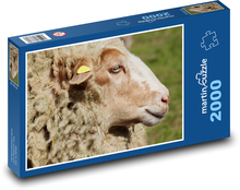 Sheep - domestic animal Puzzle 2000 pieces - 90 x 60 cm