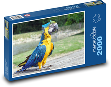 Parrot - bird Puzzle 2000 pieces - 90 x 60 cm