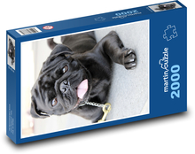 Black Pug - Dog Puzzle 2000 pieces - 90 x 60 cm