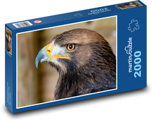 Orzeł - drapieżnik Puzzle 2000 elementów - 90x60 cm