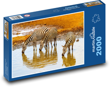 Keňa - zebry Puzzle 2000 dílků - 90 x 60 cm