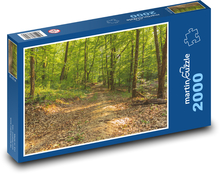 Les - príroda Puzzle 2000 dielikov - 90 x 60 cm