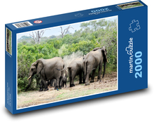 Animals - Elephants Puzzle 2000 pieces - 90 x 60 cm