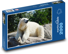 Niedźwiedź polarny Puzzle 2000 elementów - 90x60 cm