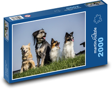 Zvieratá - psy Puzzle 2000 dielikov - 90 x 60 cm