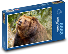 Brown bear Puzzle 2000 pieces - 90 x 60 cm