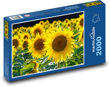 Gelbe Blumen - Sonnenblumen Puzzle 2000 Teile - 90 x 60 cm