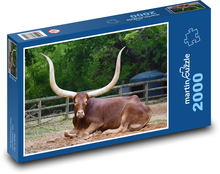 Horns - bull Puzzle 2000 pieces - 90 x 60 cm