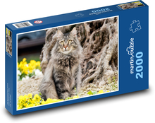 Kot - zwierzę domowe Puzzle 2000 elementów - 90x60 cm