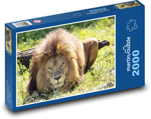 Lev - šelma Puzzle 2000 dílků - 90 x 60 cm