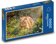 Zardzewiały kot w trawie Puzzle 2000 elementów - 90x60 cm