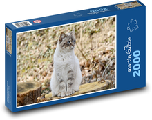 Mačka - zviera Puzzle 2000 dielikov - 90 x 60 cm