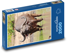 Buvol africký Puzzle 2000 dílků - 90 x 60 cm
