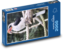 Vták - zoborožec Puzzle 2000 dielikov - 90 x 60 cm