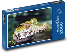 Cayman - Krokodil Puzzle 2000 Teile - 90 x 60 cm
