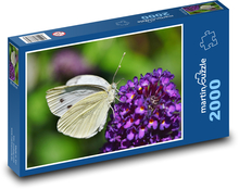 Motyl - owad na kwiatku Puzzle 2000 elementów - 90x60 cm