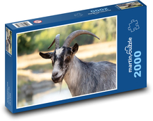 Goat - Mammal Puzzle 2000 pieces - 90 x 60 cm