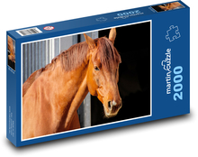 Kůň Puzzle 2000 dílků - 90 x 60 cm